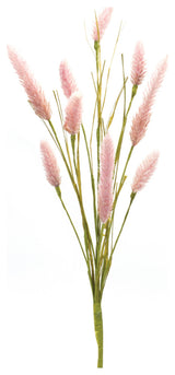 Foxtail Spray, Set of 6