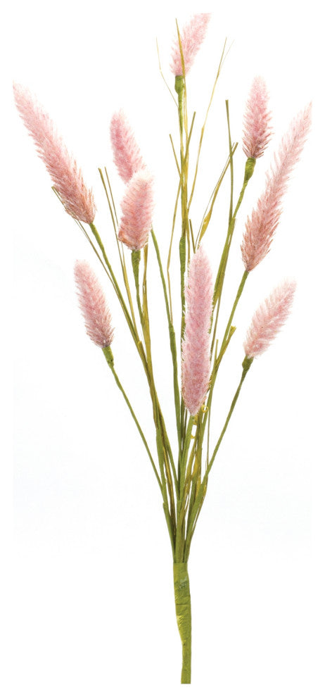 Foxtail Spray, Set of 6