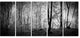 Beautiful Forest Morning Panorama, Landscape Canvas Art Print, 60"x28", 5 Panels