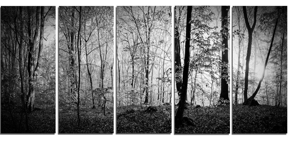 Beautiful Forest Morning Panorama, Landscape Canvas Art Print, 60"x28", 5 Panels