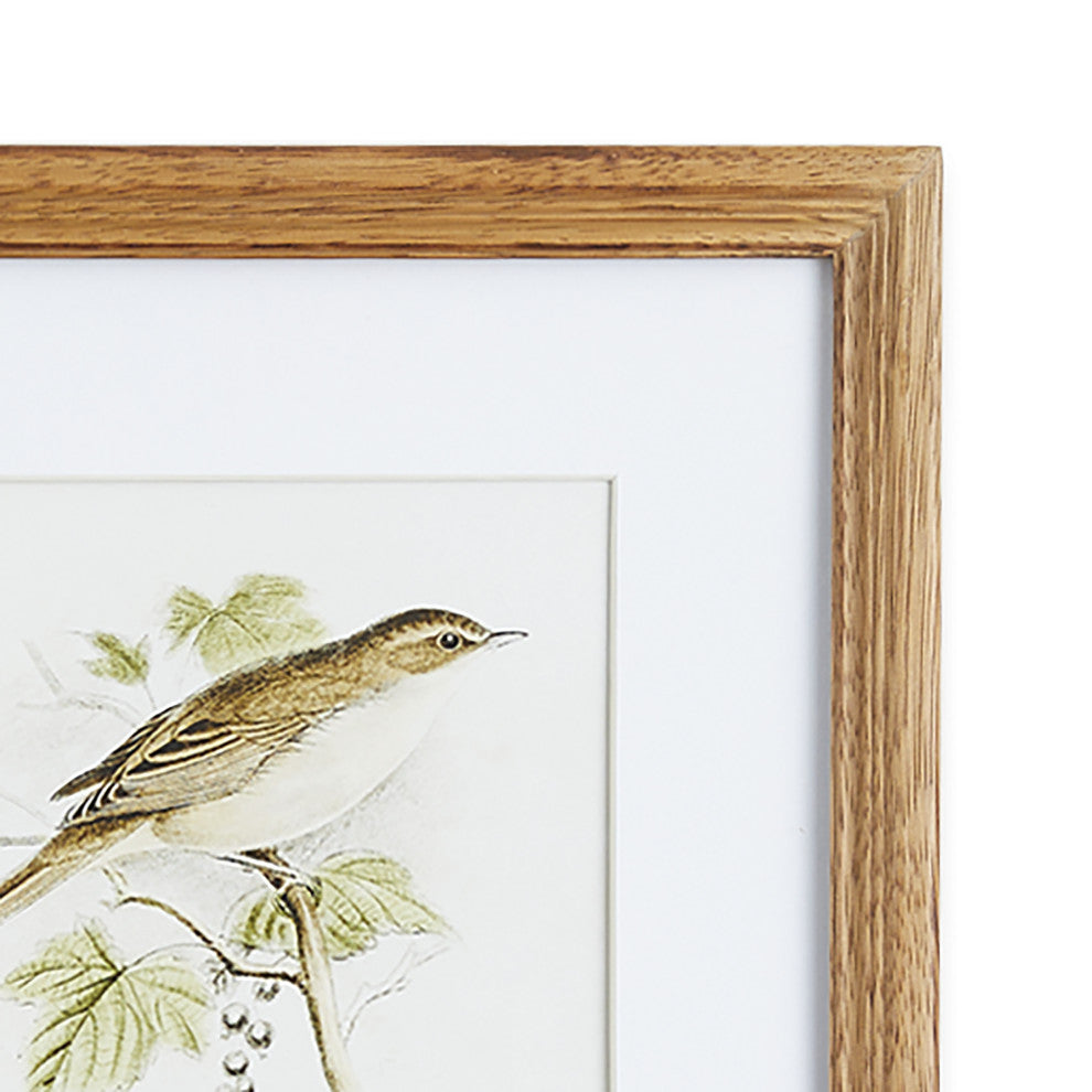Perching Bird Study Petite