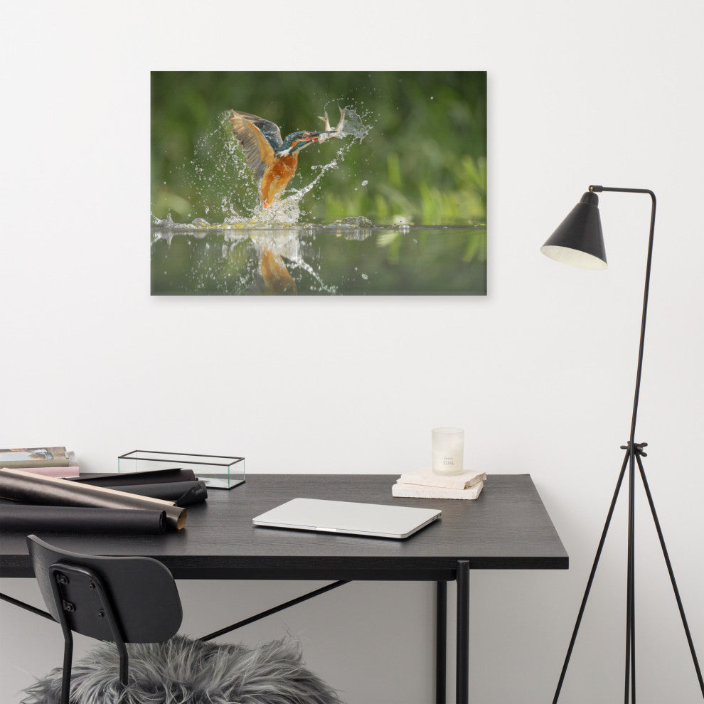 Flying Common Kingfisher Bird - Fish Animal Wildlife Photo Canvas Wall Art Print, 24" X 36"