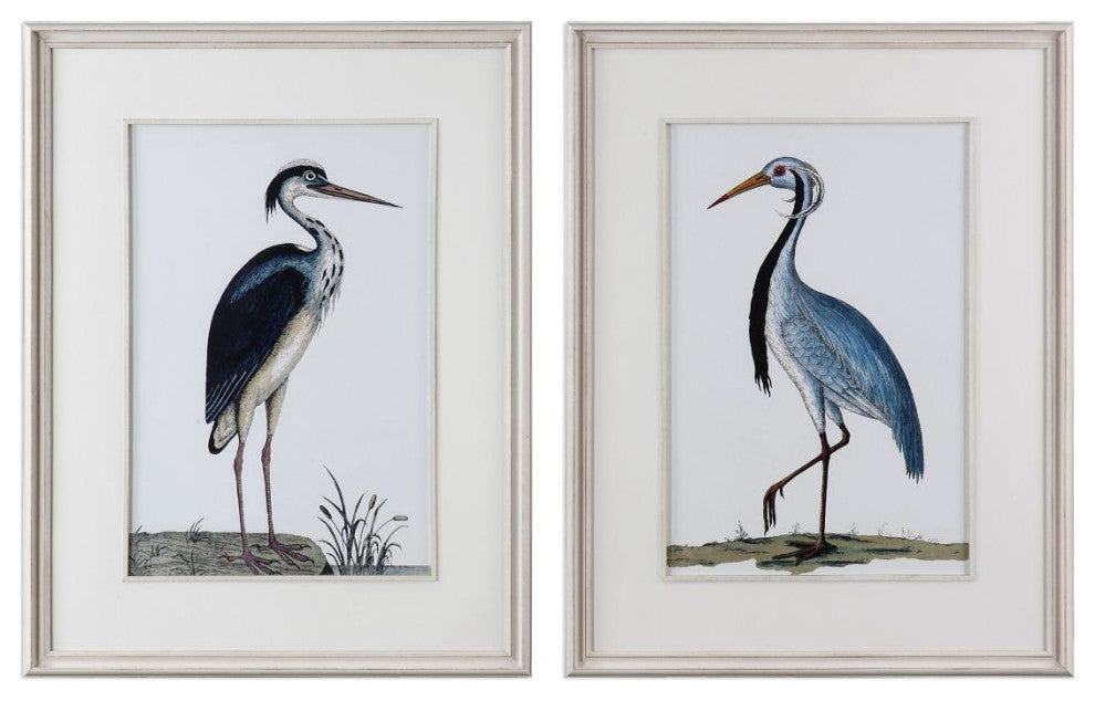 Uttermost Shore Birds Framed Prints Set of 2