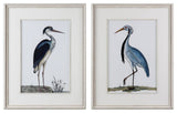 Uttermost Shore Birds Framed Prints Set of 2