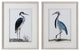Uttermost Shore Birds Framed Prints Set of 2