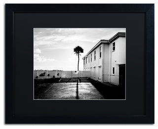 'Florida Lone Palm' Matted Framed Canvas Art by Preston