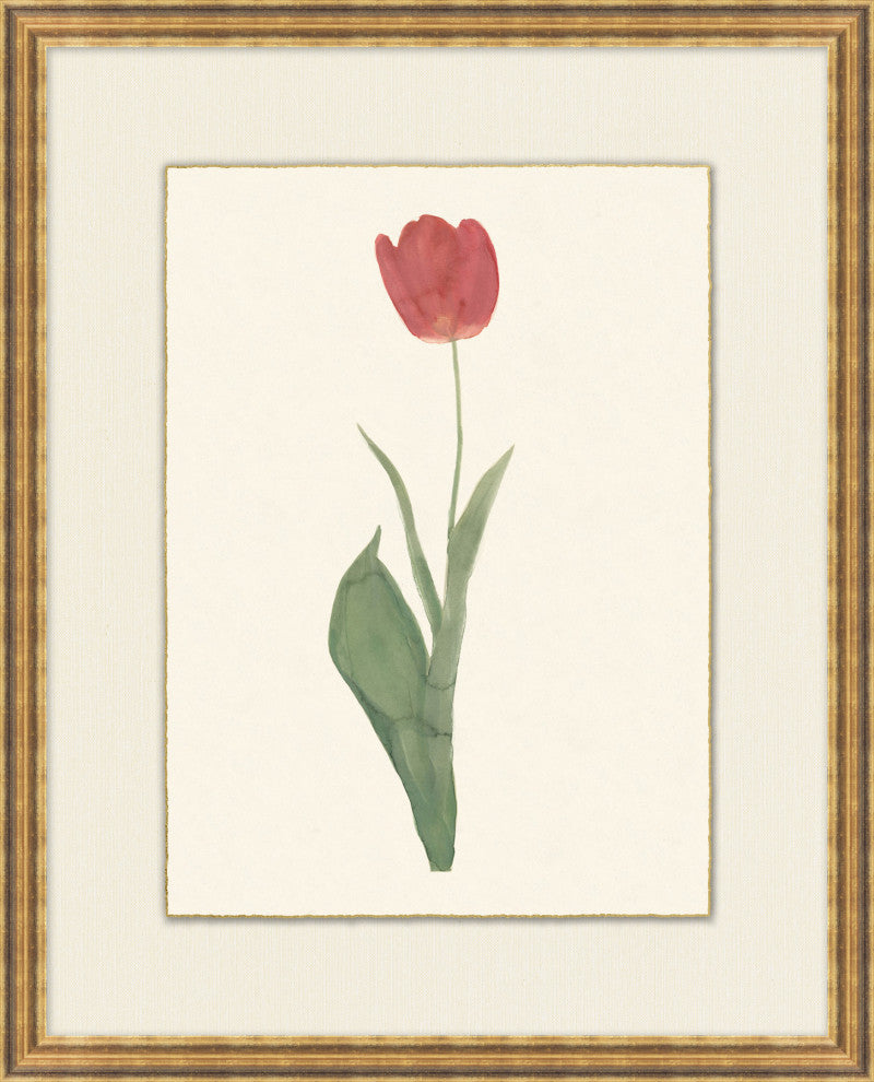 Spring Tulip 6, Giclee Reproduction Artwork