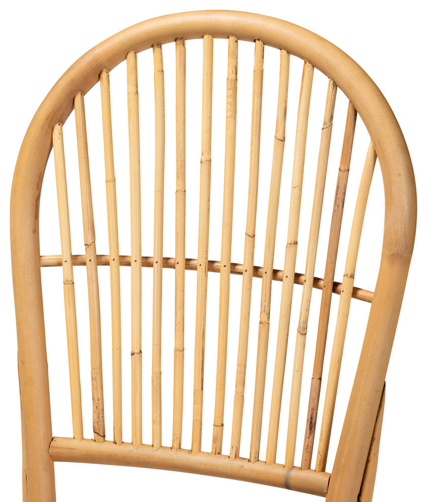 Wina Modern Bohemian Natural Brown Rattan 2-Piece Dining Chair Set