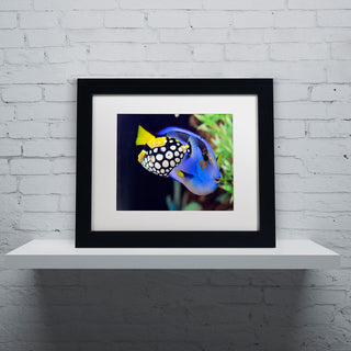 'Colorful Tropical Fish' Matted Framed Canvas Art by Kurt Shaffer