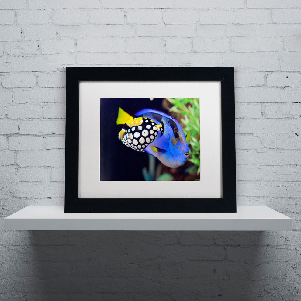 'Colorful Tropical Fish' Matted Framed Canvas Art by Kurt Shaffer