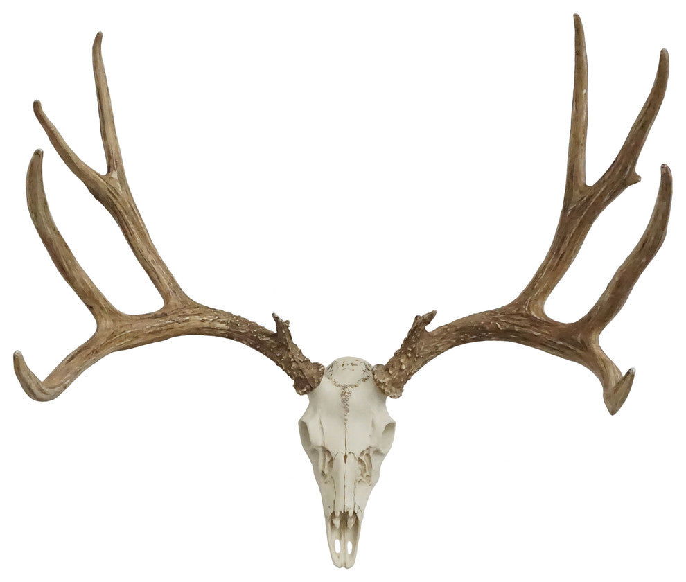 European Mule Deer Mount