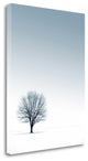 "Tree In Winterscape" By Photoinc Studio, Giclee Print on Gallery Wrap Canvas
