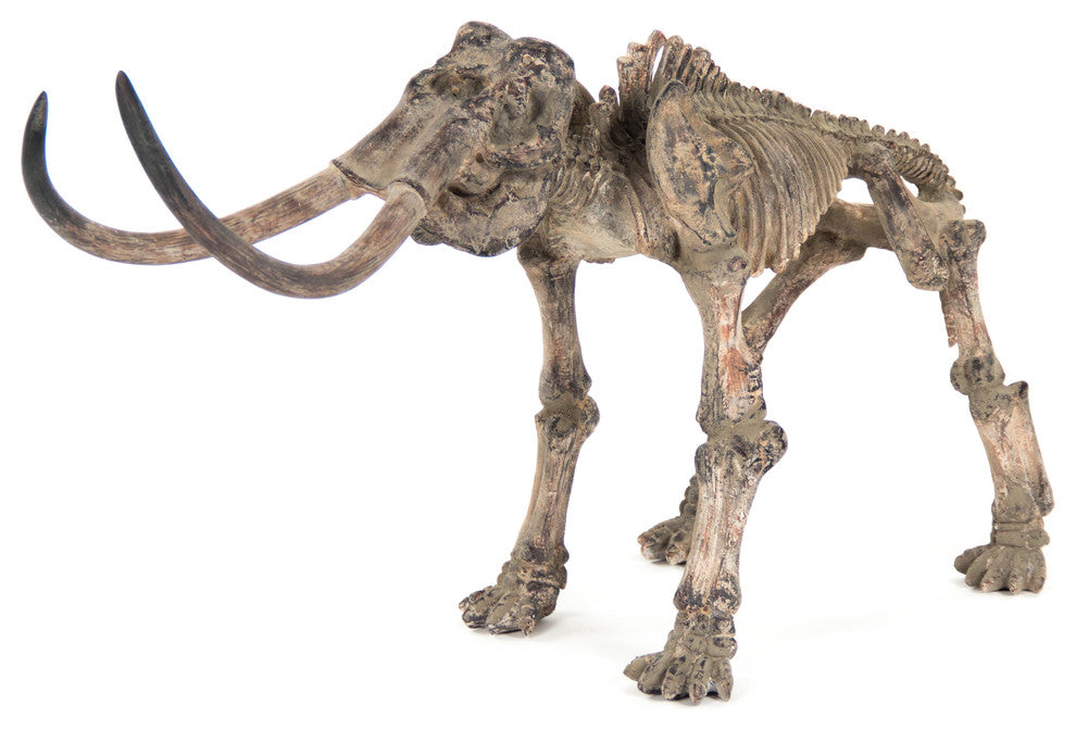 Mammoth Skeleton
