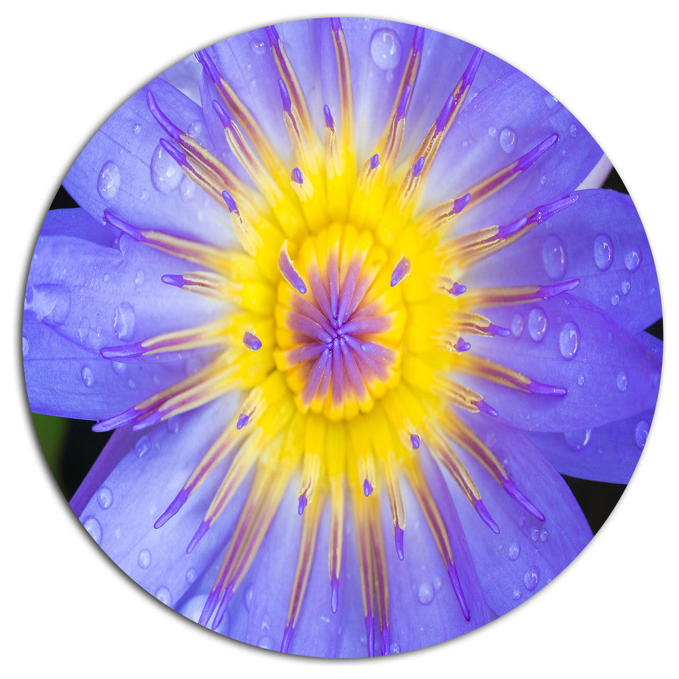Blooming Violet Lotus Close-Up, Flowers Round Wall Art, 23"