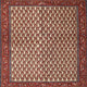 Ahgly Company Indoor Square Traditional Area Rugs, 5' Square