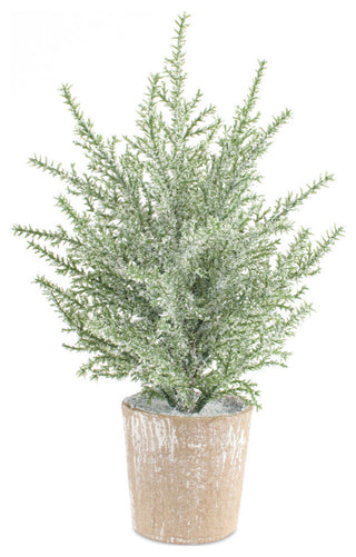 Potted Icy Pine Tree, 6-Piece Set