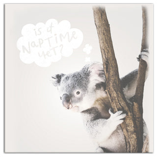 Baby Koala 20x20 Canvas Wall Art
