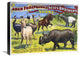American Wild Beasts And Birds, 22x17