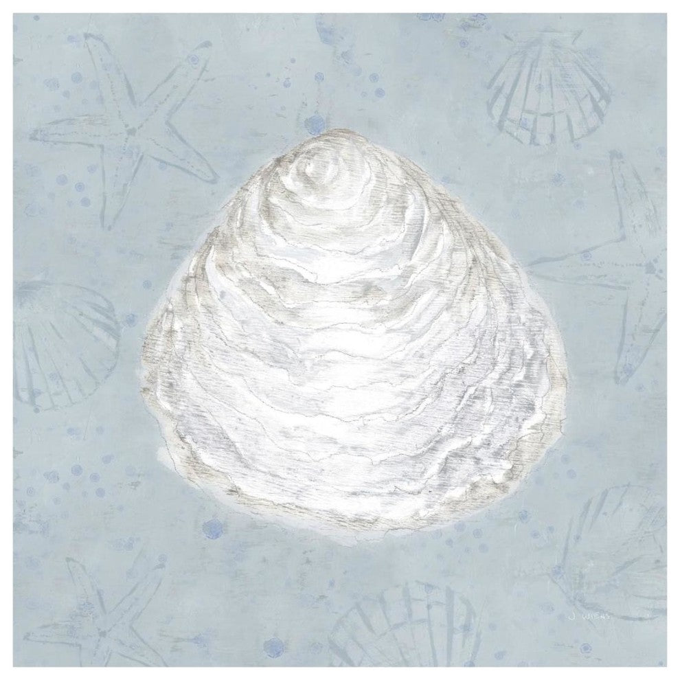 "Serene Shells I" Digital Paper Print by James Wiens, 20"x20"