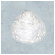 "Serene Shells I" Digital Paper Print by James Wiens, 20"x20"