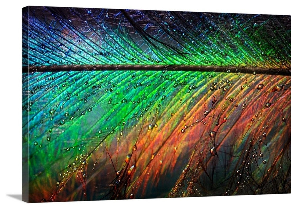 "Featherlight " Wrapped Canvas Art Print, 36"x24"x1.5"