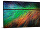 "Featherlight " Wrapped Canvas Art Print, 36"x24"x1.5"