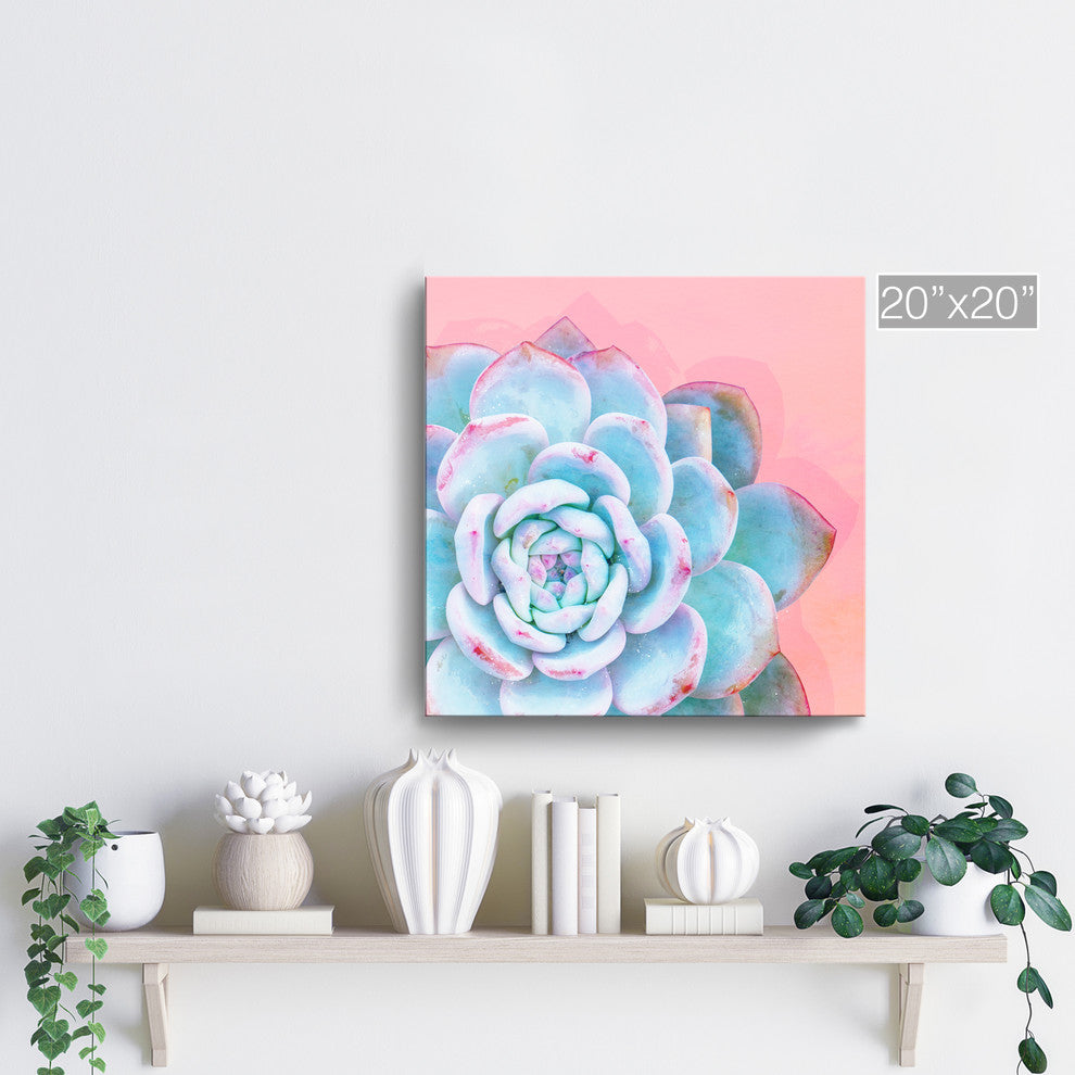 Ready2HangArt ''Awaken I'' Wrapped Canvas Succulent Wall Art, 20"x20"