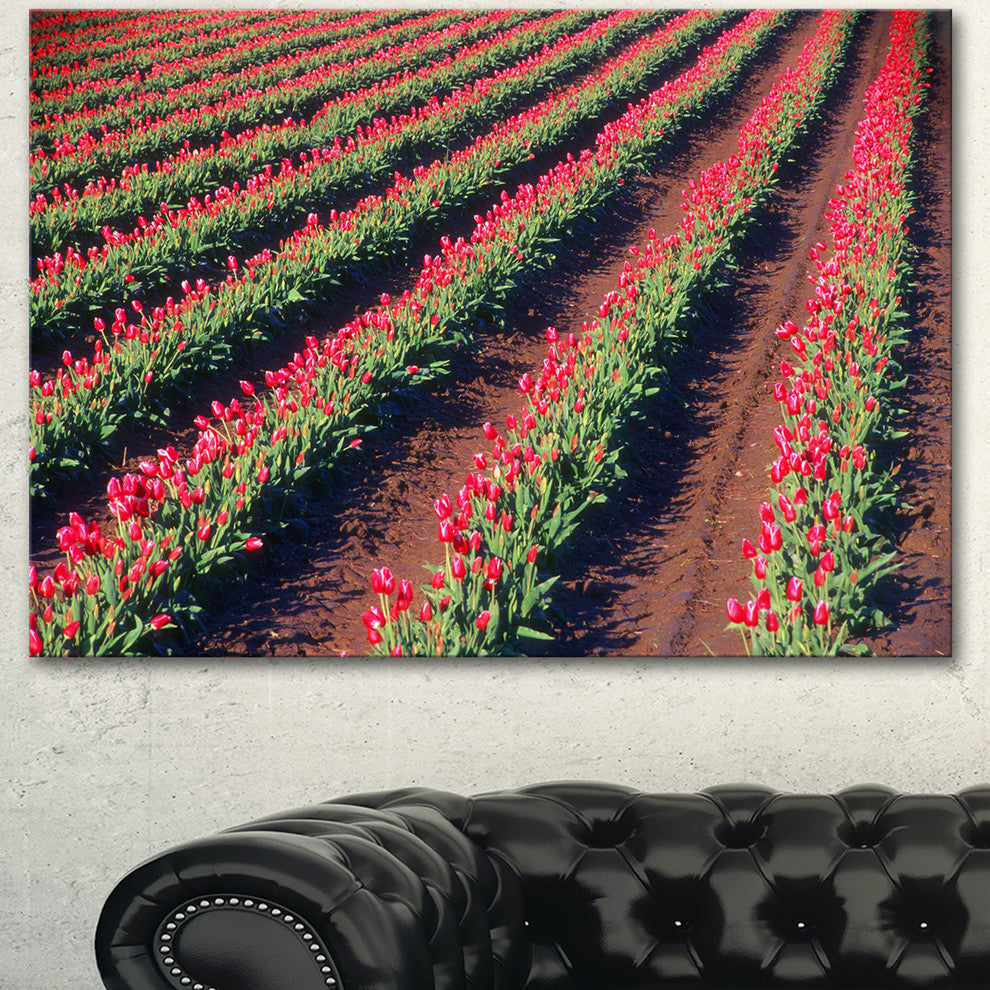 Beautiful Field of Red Tulip Flowers, Large Landscape Canvas Art, 40"x30"