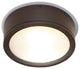 WAC Lighting Tube 12" Indoor or Outdoor LED Flush Mount, Bronze