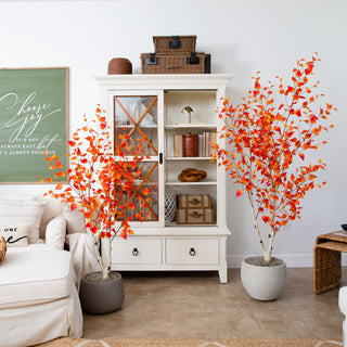 Product shown in a real room environment; full product visible.