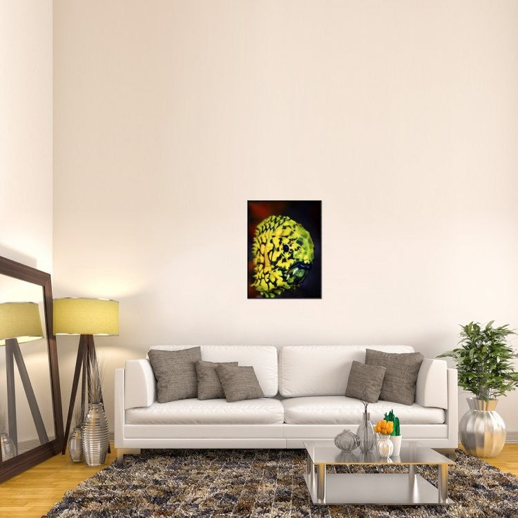 "Pineconefish" Framed Canvas Giclee by Barathieu Gabriel, 25x33"