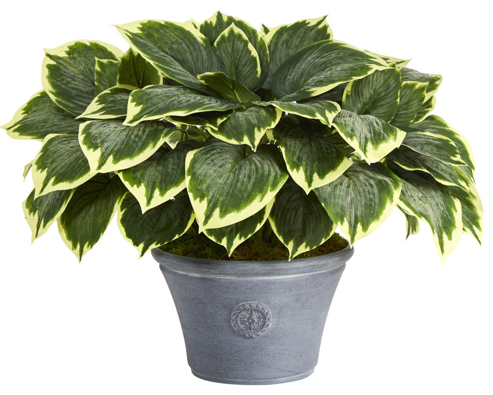 23" Variegated Hosta Artificial Plant, Gray Planter