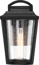 Nuvo 1-Light Lakeview Aged Bronze Medium Lantern Wall Mount Light