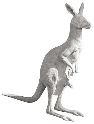 Australian Outback Kangaroo