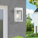 Barrett 1 Light Painted Satin Nickel Outdoor Wall Lantern