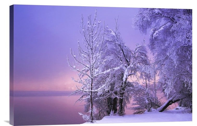 "Stillness" Stretched Canvas Giclee by Norbert Maier, 24"x16"