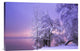 "Stillness" Stretched Canvas Giclee by Norbert Maier, 24"x16"