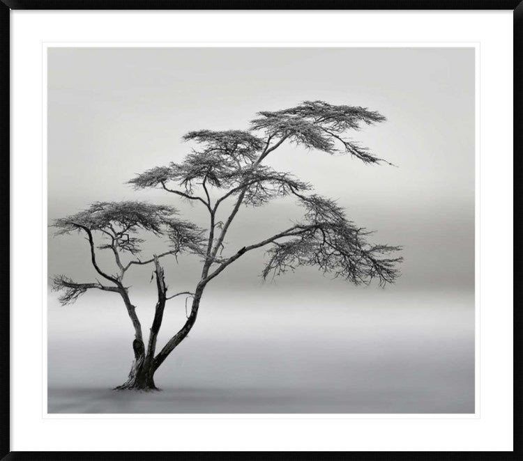 "A Very Long Story" Framed Digital Print by Piet Flour, 44x38"