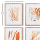 4-Piece Coral Reef Study Set
