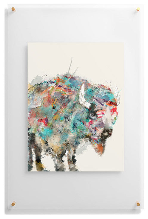 Brian Buckley Into The Wild The Buffalo Floating Acrylic Print