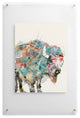 Brian Buckley Into The Wild The Buffalo Floating Acrylic Print
