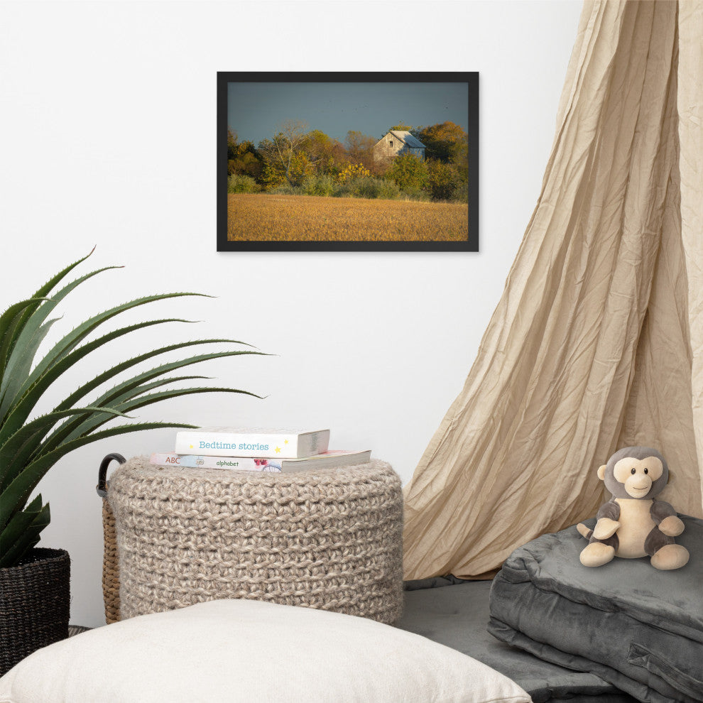 Abandoned Barn In The Trees Framed Photo Paper Wall Art Prints, Black, 12" X 18"