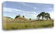 "Oak Tree - 82" By Alan Blaustein, Giclee Print on Gallery Wrap Canvas