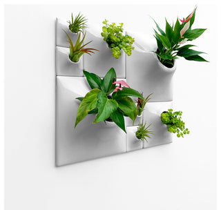 Modern Wall Planter Set, Node Living Wall, Ceramic, BS2, Light Gray