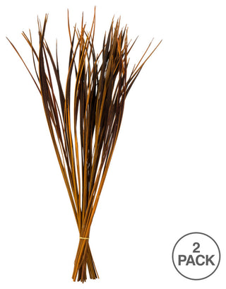 Contains overlay text '2 PACK' indicating a multi-pack; infographic-style image.