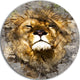 Lion Head With Textures, Animal Digital Art Round Wall Art, 11"