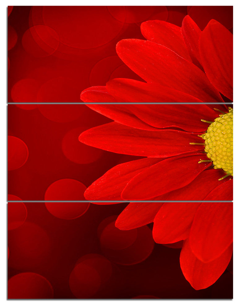 Red Flower with Lit up Background, Floral Canvas Artwork, 28x36, 3 Panels