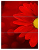 Red Flower with Lit up Background, Floral Canvas Artwork, 28x36, 3 Panels