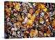 "Autumn Stroll" Wrapped Canvas Art Print, 24"x16"x1.5"