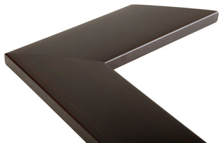 Shelby Espresso Framed Wall Mirror, 20"x24"